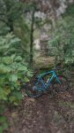 IMG_0183.jpeg