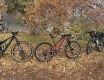 IMG_1206.jpeg