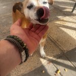 IMG_9480.jpeg