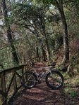IMG_0530.jpeg