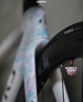 IMG_3009.jpeg