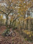 IMG_0673.jpeg