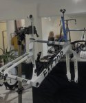 IMG_3123.jpeg