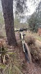 thumbnail_IMG_0521.jpg
