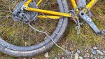 IMG-20251222-WA0013.jpg