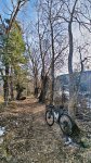 IMG-20260104-WA0007.jpg