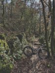 IMG_1579.jpeg