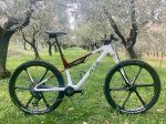 arc8lefti.jpg