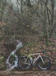 IMG_1798.jpeg