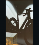 1000012877 (1).png