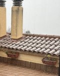 IMG_1106.jpeg