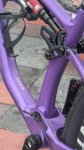 PXL_20260208_091257052.jpg