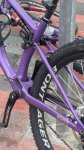 PXL_20260208_091259176.jpg