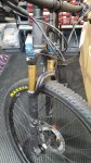 IMG-20260213-WA0011.jpg