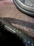 IMG_3429.jpeg
