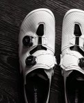 IMG_5564.jpeg