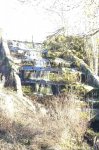 IMG_20260220_172128.jpg