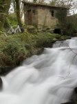 IMG_2250.jpeg