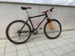 IMG_4987.jpeg