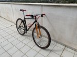 IMG_4989.jpeg