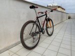 IMG_4990.jpeg