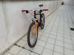 IMG_4986.jpeg