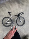 IMG_5896.jpeg