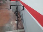 Madone1.jpg