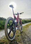 20260325_181222.jpg