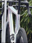 IMG_1323.jpeg