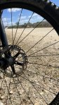 IMG_1819 (1).jpeg