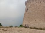 IMG_4053.jpeg
