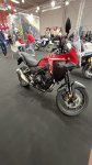 IMG_2088.jpeg