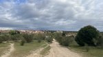 IMG_2098.jpeg