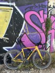 IMG_6517.jpeg