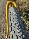 IMG_6523.jpeg