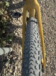 IMG_6522.jpeg