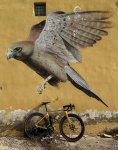 IMG_6756.jpeg