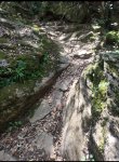 IMG_20260613_170448.jpg