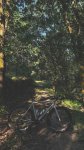 IMG_4296.jpeg
