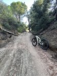 IMG_3247.jpeg
