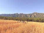 IMG_1589.jpeg