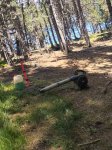 IMG_20260630_123318.jpg