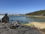 IMG_5194.jpeg