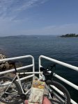 IMG_5212.jpeg
