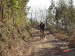 naranco005yz0.jpg