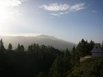 P0000420_resize.JPG