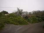 P0000533_resize.JPG