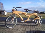 7 biciwooden.jpg