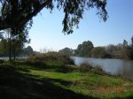 DSCN2339.jpg